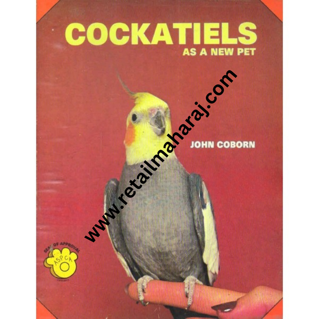 cockatiels as a new pet - Retail Maharaj