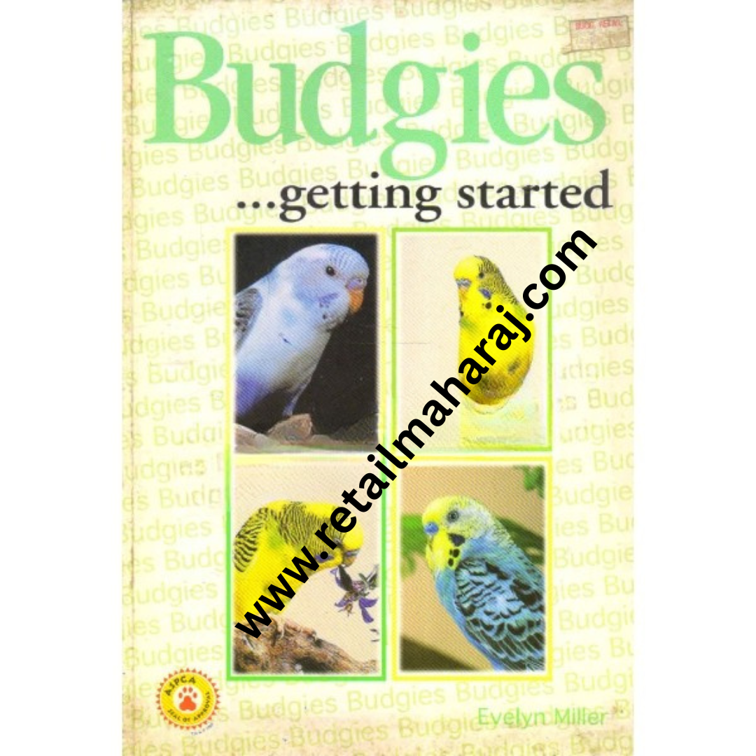 budgies getting started - Retail Maharaj