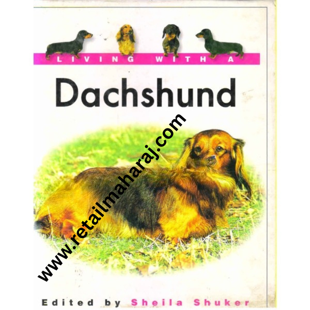 living with a dachshund - Retail Maharaj