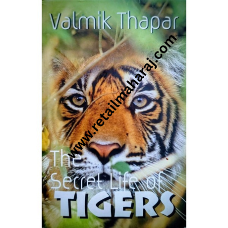 the secret life of tigers 1st edition - Retail Maharaj