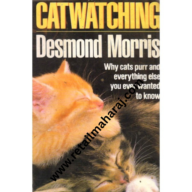 catwatching - Retail Maharaj