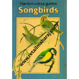 hamlyn colour guides songbirds 1st ediiton - Retail Maharaj