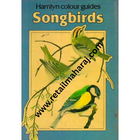 hamlyn colour guides songbirds 1st ediiton - Retail Maharaj