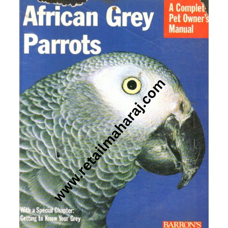 african grey parrots - Retail Maharaj
