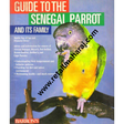 guide to the senegal parrot - Retail Maharaj