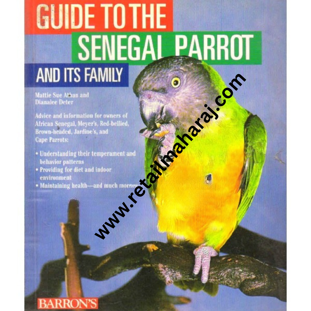 guide to the senegal parrot - Retail Maharaj