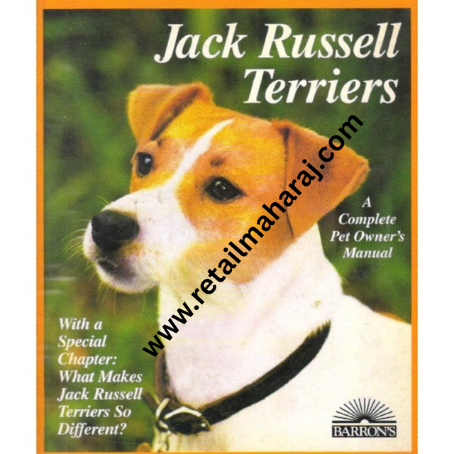 jack russell terriers - Retail Maharaj