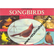 favorite song birds - Retail Maharaj