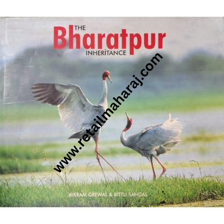 The Bharatpur Inheritance 1st edition - Retail Maharaj