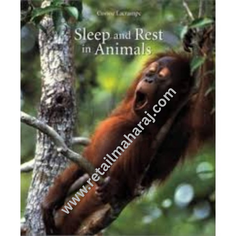 Sleep and Rest in Animals - Retail Maharaj