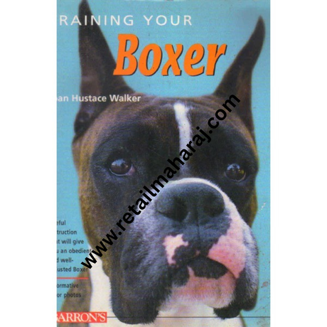 Training your Boxer - Retail Maharaj