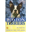 Boston Terriers - Retail Maharaj