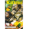 Kittens - Retail Maharaj