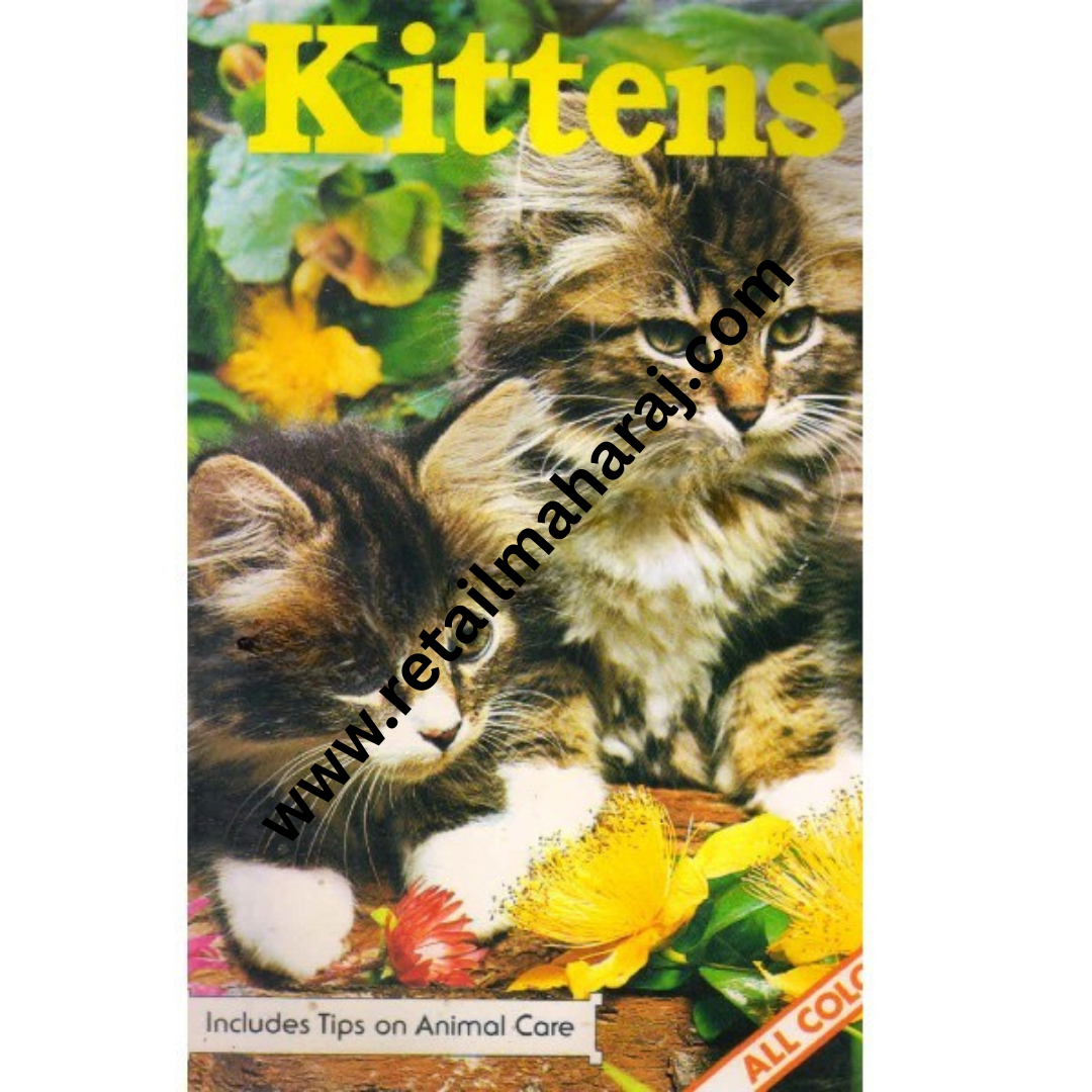 Kittens - Retail Maharaj