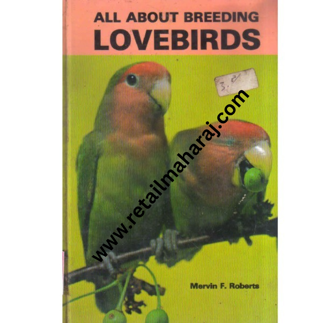 All About Breeding Lovebirds - Retail Maharaj