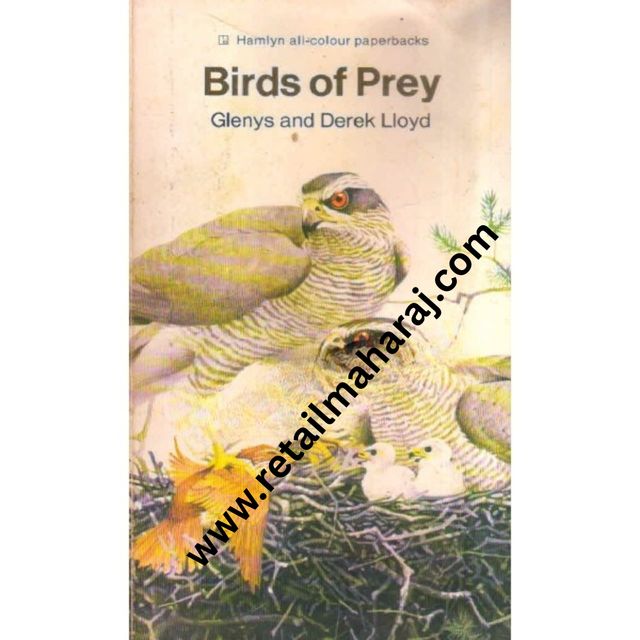 Birds Of prey hamlyn - Retail Maharaj