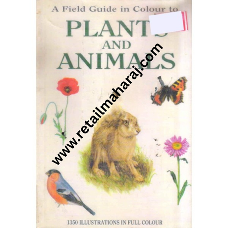 A Field Guide In Colour To Plant And Animals - Retail Maharaj