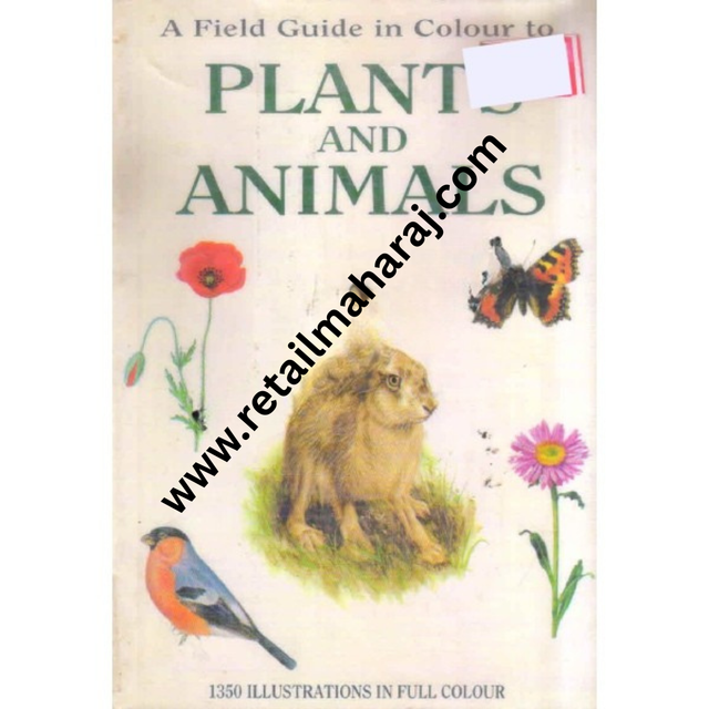 A Field Guide In Colour To Plant And Animals - Retail Maharaj