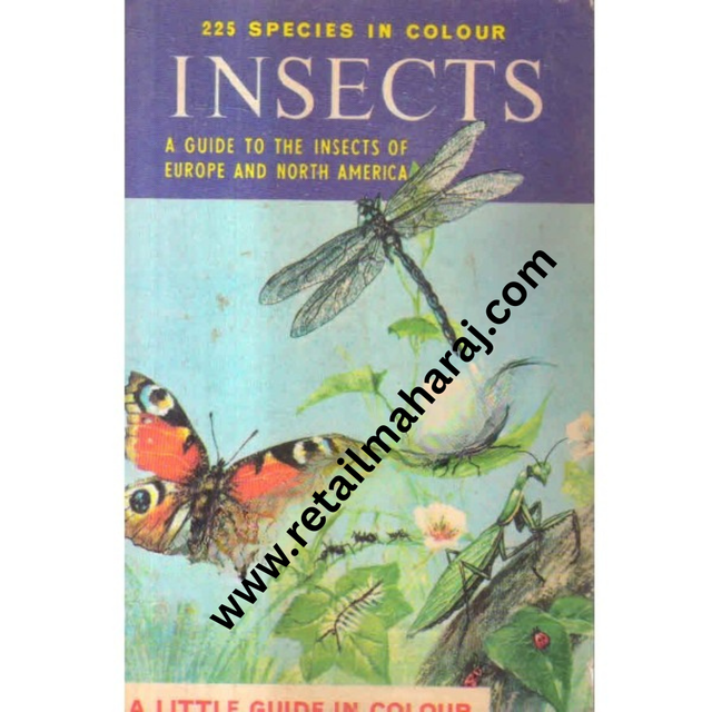 insects a guide to insects of Europe and north America - Retail Maharaj