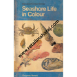 seashore life in colour Blandford colour series - Retail Maharaj
