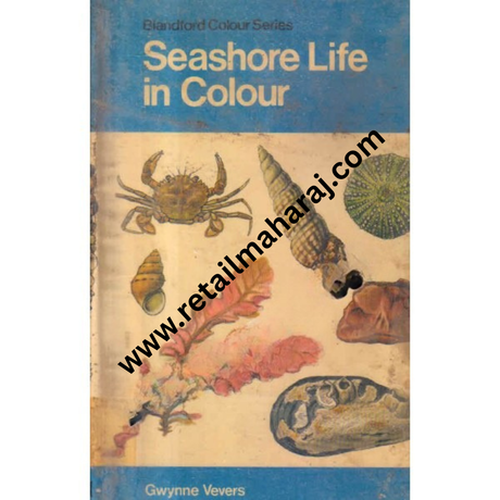 seashore life in colour Blandford colour series - Retail Maharaj