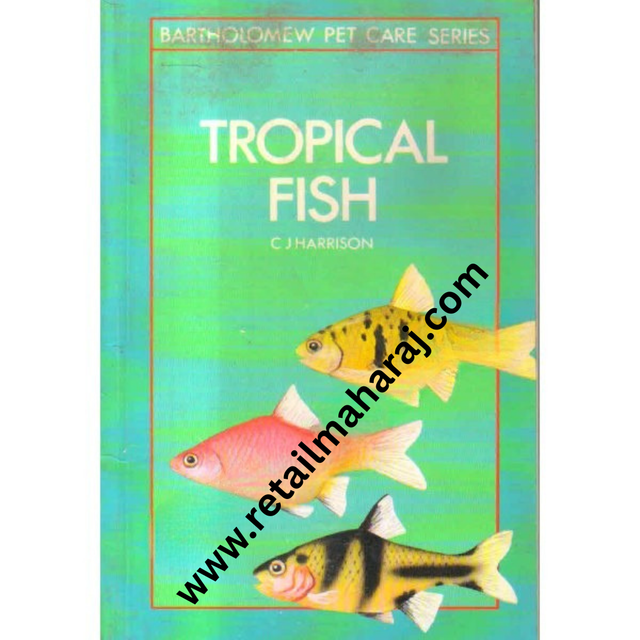 tropical fish - Retail Maharaj