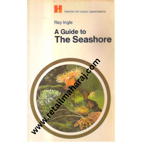 a guide to the seashore Hamlyn - Retail Maharaj
