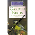 garden birds of britain and europe - Retail Maharaj