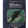 whales and other sea mammals time life books - Retail Maharaj