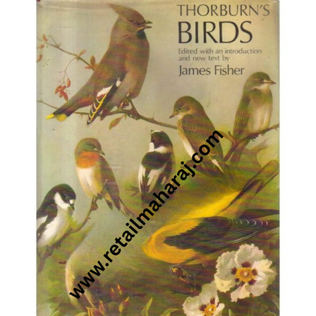 thorburns birds 1st editiion - Retail Maharaj