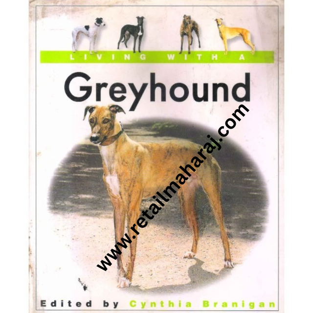 living with greyhound - Retail Maharaj