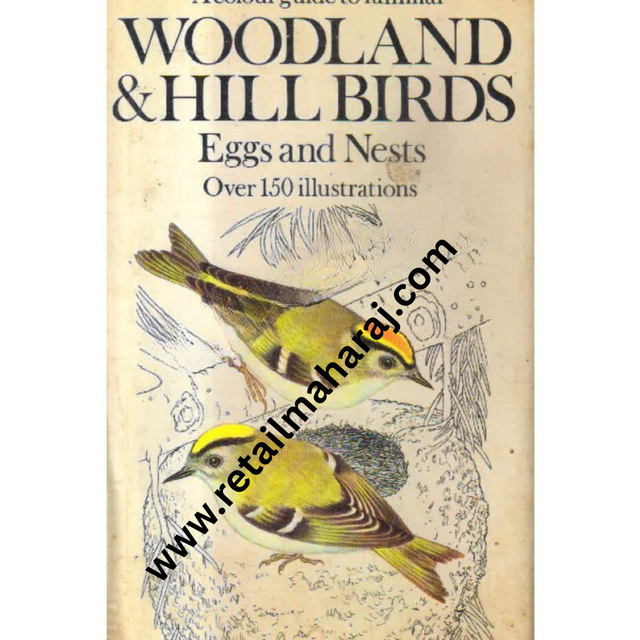 woodland and hll birds eggs and nests - Retail Maharaj
