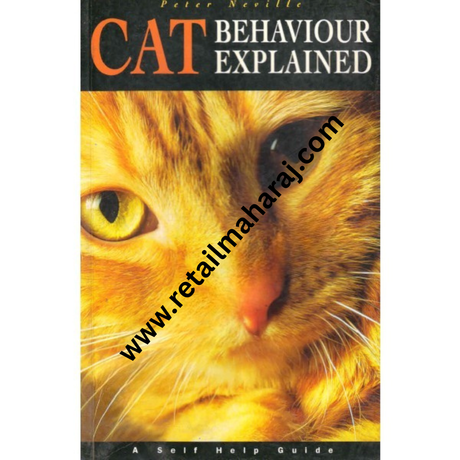 Cat Behaviour Explained - Retail Maharaj
