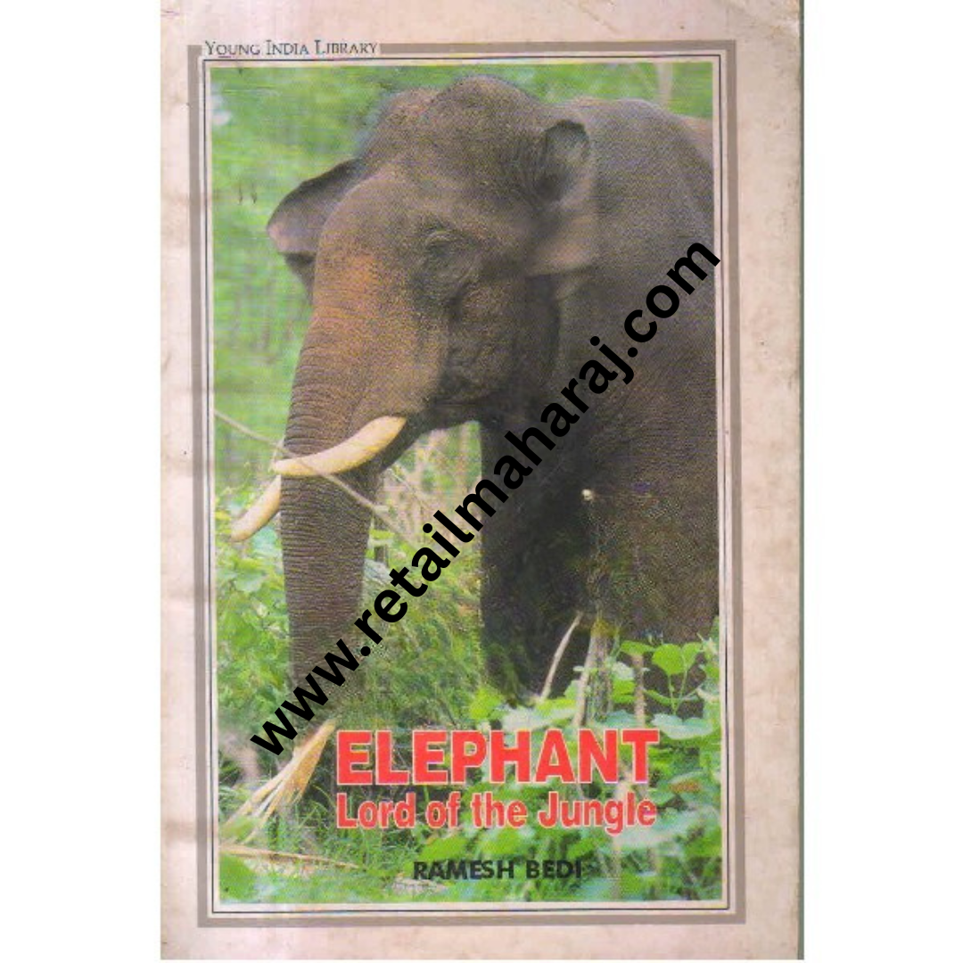 elephant lord of the jungle - Retail Maharaj