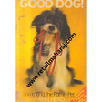 good dog - Retail Maharaj