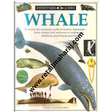 Eyewitness Guide Whale - Retail Maharaj