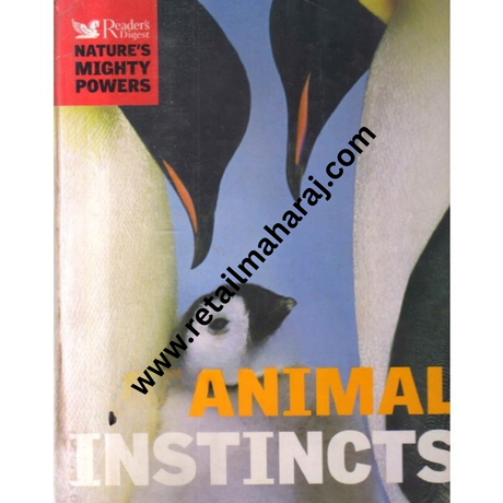 animal instincts - Retail Maharaj