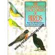 The Illustrated Encyclopedia of Birds - Retail Maharaj