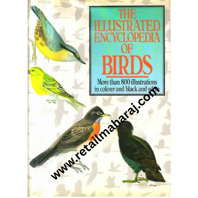 The Illustrated Encyclopedia of Birds - Retail Maharaj