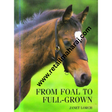 From Foal to Full Grown 1st edition - Retail Maharaj