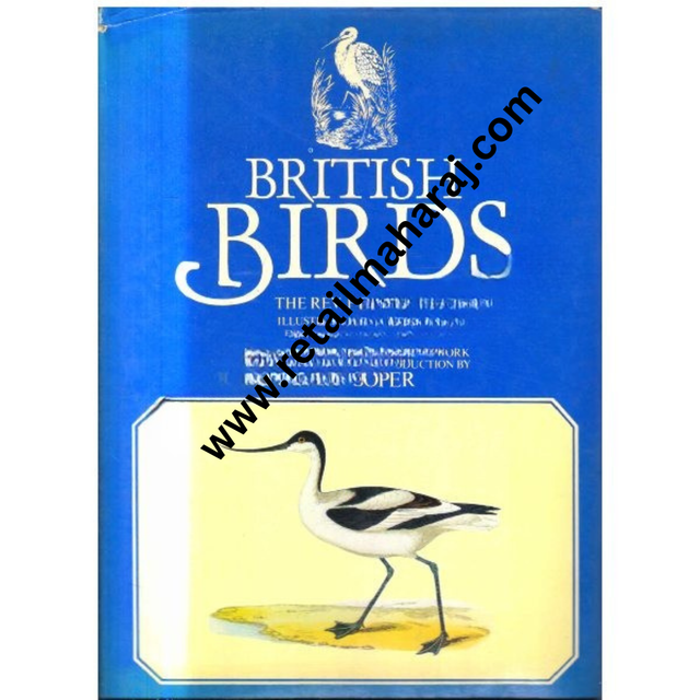 British Birds 1st edition - Retail Maharaj