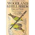 woodland and hill birds Eggs and Nests - Retail Maharaj