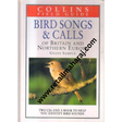 bird songs and calls - Retail Maharaj