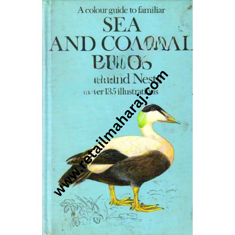 Sea and Coastal Birds eggs and nests - Retail Maharaj