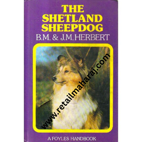 the shetland sheepdog - Retail Maharaj