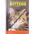 kittens - Retail Maharaj