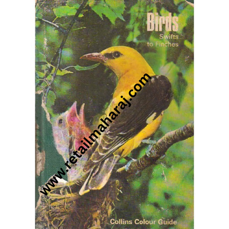 Birds Swifts and Finches 1st edition - Retail Maharaj