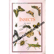 insects - Retail Maharaj