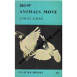 How Animals Move - Retail Maharaj