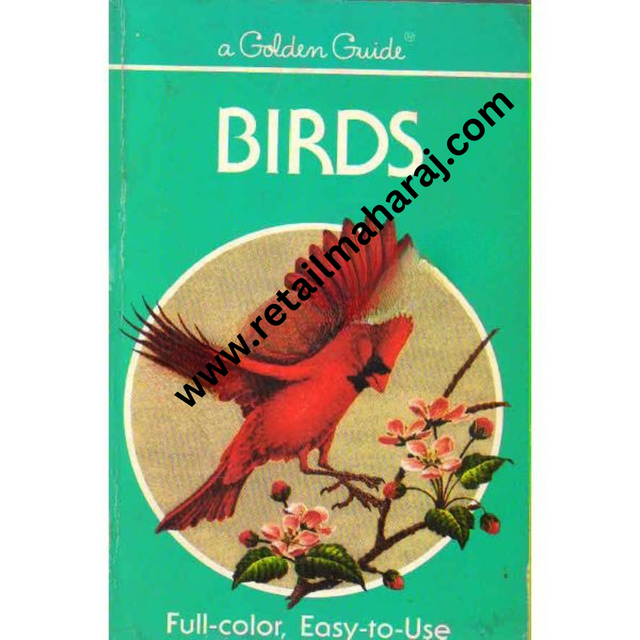 Birds - Retail Maharaj